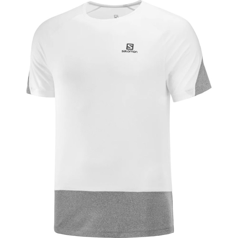 Camiseta Salomon Cross Run Curta Sleeve Masculino Branco Cinzentas | PT R40526